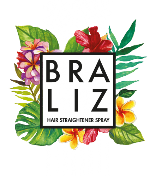 logoBraLIZ8